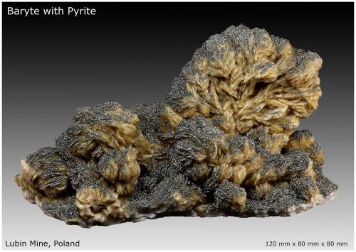 Baryte with Pyrite<br />Lubin Mine, Lubin, Lubin District, Legnica, Lower Silesia, Poland<br />120 mm x 80 mm x 80 mm<br /> (Author: silvia)