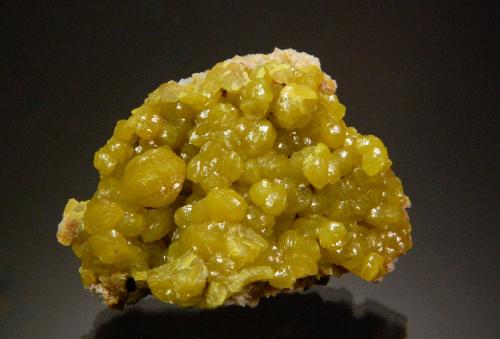 Pyromorphite<br />La Vidale Mine (Brezies), Asprières, Saint-Martin de Bouillac, Villefranche-de-Rouergue, Aveyron, Occitanie, France<br />3.6 x 3.0 cm<br /> (Author: Michael Shaw)