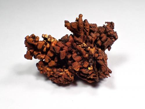 Copper<br />Phoenix Mine, Phoenix, Keweenaw County, Michigan, USA<br />60 mm x 50 mm<br /> (Author: Don Lum)