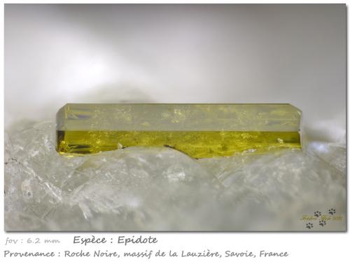 Epidote<br />Roche Noire, Macizo La Lauzière, Saint-Jean-de-Maurienne, Saboya, Auvergne-Rhône-Alpes, Francia<br />fov 6.2 mm<br /> (Author: ploum)