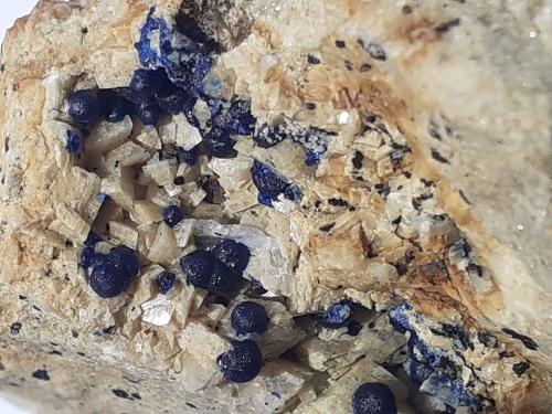 Azurite, Dolomite, Quartz<br />Ringenwechsel Mining District, Troi, District Schwaz, Inn Valley, North Tyrol, Tyrol/Tirol, Austria<br />FoV ca. 4 x 3 cm<br /> (Author: Volkmar Stingl)