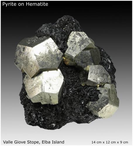 Pyrite on Hematite<br />Mina Rio (Mina Rio Marina), realce Valle Giove, Rio Marina, Isla de Elba, Provincia Livorno, Toscana, Italia<br />14 cm x 12 cm x 9 cm<br /> (Author: silvia)