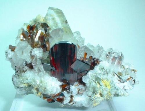 Brookite, quartz
Zard Mts., Raskoh Mts., Balochistan, Pakistan
58 mm x 46 mm (Author: Carles Millan)