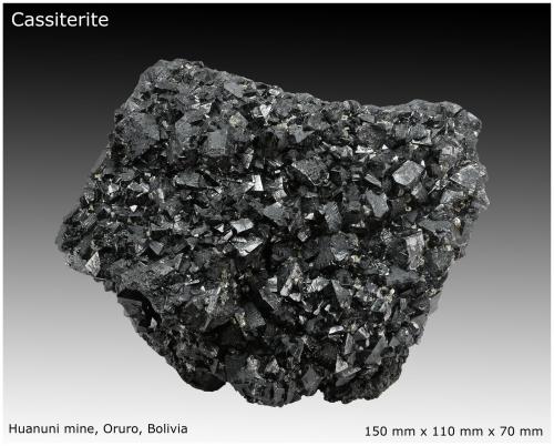 Cassiterite<br />Huanuni Mine, Huanuni, Dalence Province, Oruro Department, Bolivia<br />150 mm x 110 mm x 70 mm<br /> (Author: silvia)