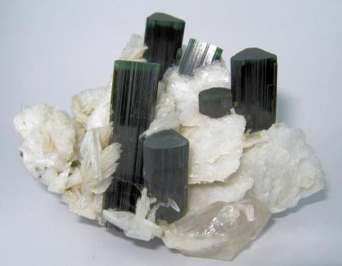 Tourmaline, albite, quartz
Stak Nala, Haramosh Mountains, Skardu, Gilgit-Baltistan, Pakistan
91mm x 80 mm x 61 mm (Author: Carles Millan)