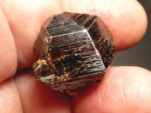 Rutilo<br />Diamantina, Vale do Jequitinhonha, Minas Gerais, Brasil<br />2 x 2 cm.<br /> (Autor: javier ruiz martin)