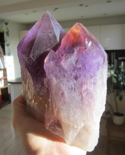 Quartz (variety amethyst)<br />Anahi Mine, La Gaiba District, Sandoval Province, Santa Cruz Department, Bolivia<br />Specimen height 17 cm<br /> (Author: Tobi)