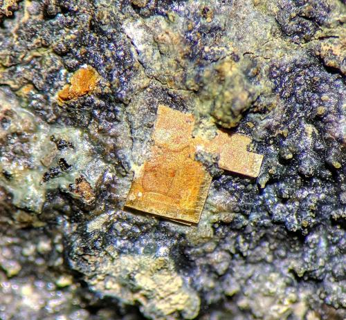 Bassetita<br />Los Ratones Mine, Albalá, Mancomunidad Sierra de Montánchez, Cáceres, Extremadura, Spain<br />C.d.v. 0,6 x 0,6 cm.<br /> (Autor: carles)