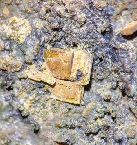 Bassetita<br />Los Ratones Mine, Albalá, Mancomunidad Sierra de Montánchez, Cáceres, Extremadura, Spain<br />C.d.v. 0,7 x 0,7 cm.<br /> (Autor: carles)