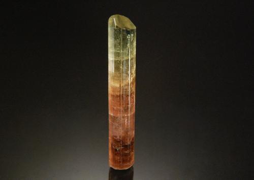 Elbaite<br />Rubaya, Bahunde, Masisi Territory, North Kivu Province (Kivu), Democratic Republic of the Congo (Zaire)<br />7.0 × 1.2 cm<br /> (Author: Michael Shaw)