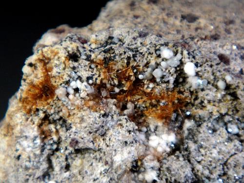 Yuanfuliita<br />La Celia, Jumilla, Comarca Altiplano, Region of Murcia (Murcia), Spain<br />Campo de visión 4 cm.<br /> (Autor: Antonio P. López)