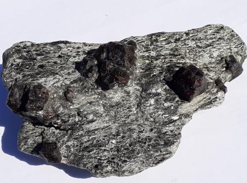 Almandine<br />Stapfenalm, Stilupp Valley, Mayrhofen, District Schwaz, North Tyrol, Tyrol/Tirol, Austria<br />16 x 10 cm<br /> (Author: Volkmar Stingl)