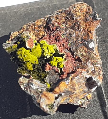 Chenevixite<br />Lavrion Mining District, Attikí (Attica) Prefecture, Greece<br />1,5 x 1,2 cm<br /> (Author: Volkmar Stingl)