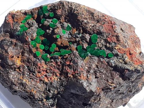Conichalcite<br />Lavrion Mining District, Attikí (Attica) Prefecture, Greece<br />2,5 x 1,5 cm<br /> (Author: Volkmar Stingl)
