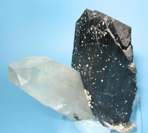Ferberite, quartz
Yaogangxian Mine, Yizhang Co., Chenzhou Prefecture, Hunan Province, China
70 mm tall x 50 mm wide (Author: Carles Millan)