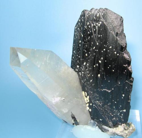 Ferberite, quartz
Yaogangxian Mine, Yizhang Co., Chenzhou Prefecture, Hunan Province, China
70 mm tall x 50 mm wide (Author: Carles Millan)