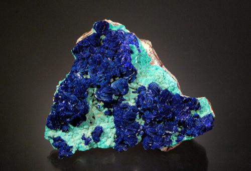 Azurite<br />Morenci Mine, Morenci, Copper Mountain District, Shannon Mountains, Greenlee County, Arizona, USA<br />7.3 x 7.0 x 2.5 cm<br /> (Author: Michael Shaw)