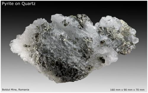 Pyrite, Quartz<br />Boldut Mine, Cavnic mining area, Cavnic, Maramures, Romania<br />160 mm x 90 mm x 70 mm<br /> (Author: silvia)