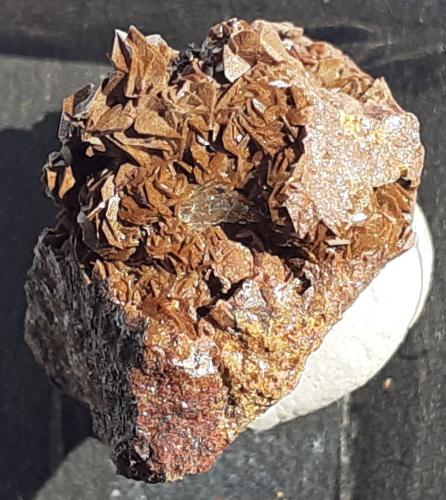 Jarosite<br />Distrito minero Lavrion, Prefectura Attikí (Attica), Grecia<br />1,5 x 1 cm<br /> (Author: Volkmar Stingl)