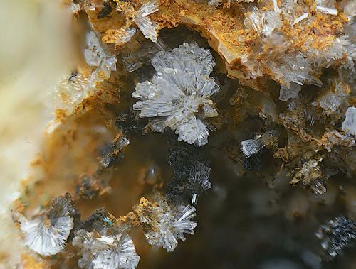 Hemimorfita<br />Barranco del Celejo, Níjar, Comarca Metropolitana de Almería, Almería, Andalucía, España<br />Campo de visión de 5 mm.<br /> (Autor: Antonio Carmona)