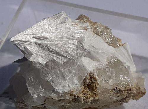 Pectolite<br />Hildfeld, Winterberg, Sauerland, Renania del Norte-Westfalia/Nordrhein-Westfalen, Alemania<br />2 x 1,5 cm<br /> (Author: Volkmar Stingl)