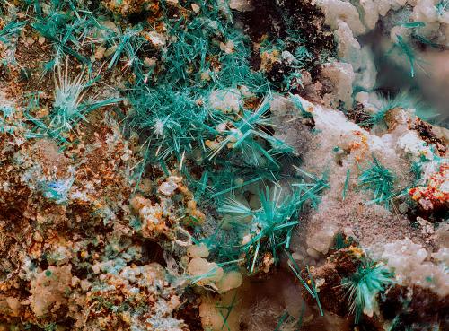 Brochantita<br />Mina Feliz Encuentro, Sierra Almagrera, Cuevas del Almanzora, Comarca Levante Almeriense, Almería, Andalucía, España<br />Campo de visión de 10 mm.<br /> (Autor: Antonio Carmona)