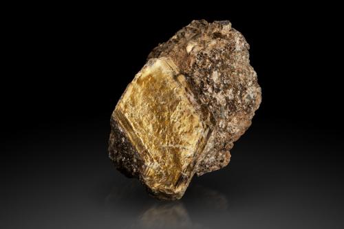 Vermiculite<br />Mina Shawa, Dorowa mining area, Distrito Buhera, Manicaland, Zimbabwe<br />9 x 9 x 9 cm / main crystal: 7.5 cm<br /> (Author: MIM Museum)