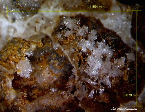 Hemimorfita.<br />Cabo de Gata, Níjar, Comarca Metropolitana de Almería, Almería, Andalucía, España<br />4´804 x 3´679 mm.<br /> (Autor: Jesus Franquesa Baucells)