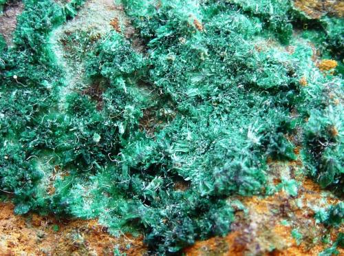 Malaquita<br />Marialina Mine, Peraleda de San Román, Comarca Las Villuercas, Cáceres, Extremadura, Spain<br />6 x 4 cm.<br /> (Autor: javier ruiz martin)