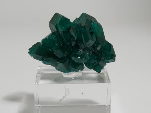 Dioptase<br />Renéville, Kindanba District, Pool Department, Republic of the Congo<br />2.5 x 1.6 x 1.2 cm<br /> (Author: Casimir Sarisky)