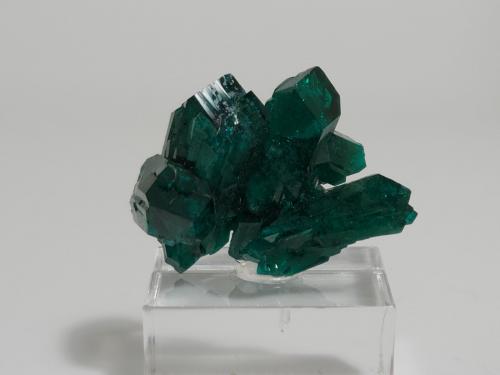 Dioptase<br />Renéville, Kindanba District, Pool Department, Republic of the Congo<br />2.5 x 1.6 x 1.2 cm<br /> (Author: Casimir Sarisky)