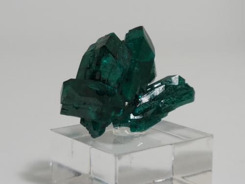 Dioptase<br />Renéville, Kindanba District, Pool Department, Republic of the Congo<br />2.5 x 1.6 x 1.2 cm<br /> (Author: Casimir Sarisky)