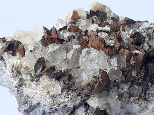 Siderite, Quartz<br />Kohlwald, Flirsch, Distrito Landeck, Tirol Norte, Tirol, Austria<br />5 x 3,5 cm<br /> (Author: Volkmar Stingl)