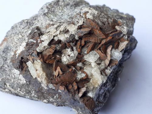 Siderite, Quartz<br />Kohlwald, Flirsch, Distrito Landeck, Tirol Norte, Tirol, Austria<br />5,5 x 4 cm<br /> (Author: Volkmar Stingl)