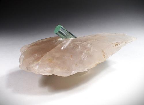 Beryl (variety aquamarine), Quartz<br />Shigar Valley, Shigar District, Gilgit-Baltistan (Northern Areas), Pakistan<br />115 mm x 62 mm x 25 mm<br /> (Author: Don Lum)