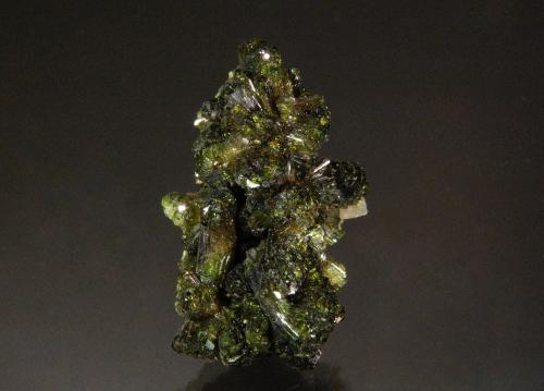 Epidote<br />Imilchil area, Anti-Atlas, Er Rachidia Province, Drâa-Tafilalet Region, Morocco<br />2.5 x 1.1 cm<br /> (Author: Michael Shaw)