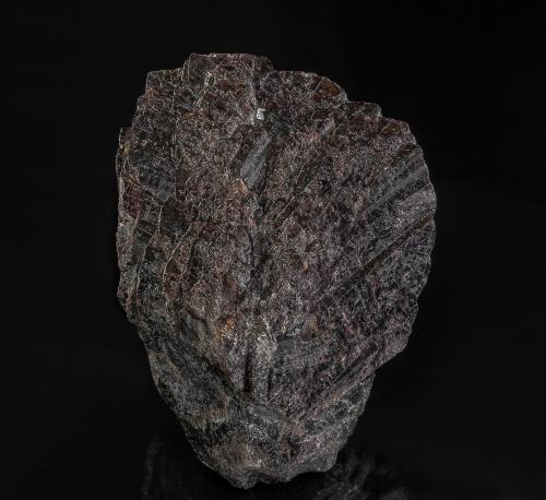 Axinite-(Fe)<br />Toroku Mine, Takachiho, Miyazaki Prefecture, Kyushu Region, Japan<br />5.8 x 4.3 cm<br /> (Author: am mizunaka)