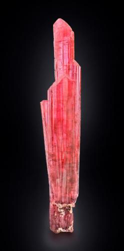 Väyrynenite<br />Mina Shakpo, Valle Shigar, Distrito Shigar, Gilgit-Baltistan (Áreas del Norte), Paquistán<br />3 x 2 x 14.5 cm / main crystal: 14.2 cm<br /> (Author: MIM Museum)