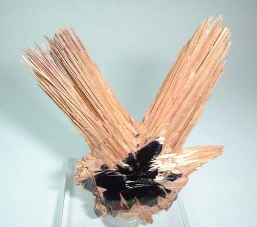 Rutile, hematite
Novo Horizonte, Bahia, Northeast Region, Brazil
65 mm x 55 mm (Author: Carles Millan)