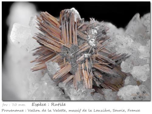 Rutile<br />Vallon de la Valette, La Lauzière Massif, Saint-Jean-de-Maurienne, Savoie, Auvergne-Rhône-Alpes, France<br />fov 7 mm<br /> (Author: ploum)