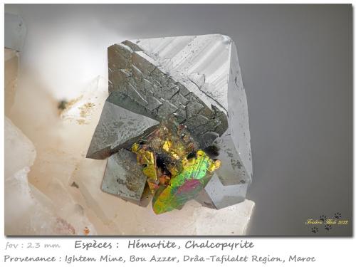 Hematite and Chalcopyrite<br />Ightem Mine, Bou Azzer mining district, Zagora Province, Drâa-Tafilalet Region, Morocco<br />fov 2.3 mm<br /> (Author: ploum)