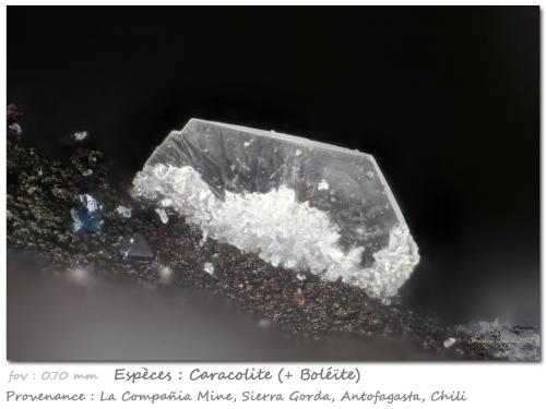 Caracolite<br />Mina La Compañía, Caracoles, Distrito Sierra Gorda, Provincia Tocopilla, Región Antofagasta, Chile<br />fov 0.70 mm<br /> (Author: ploum)