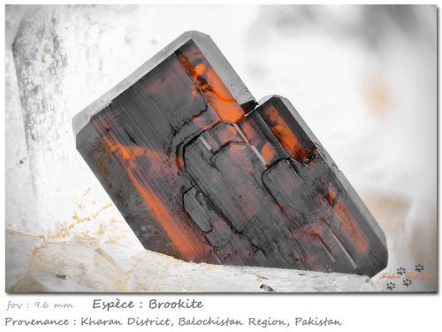 Brookite<br />Kharan District, Balochistan (Baluchistan), Pakistan<br />fov 9.6 mm<br /> (Author: ploum)