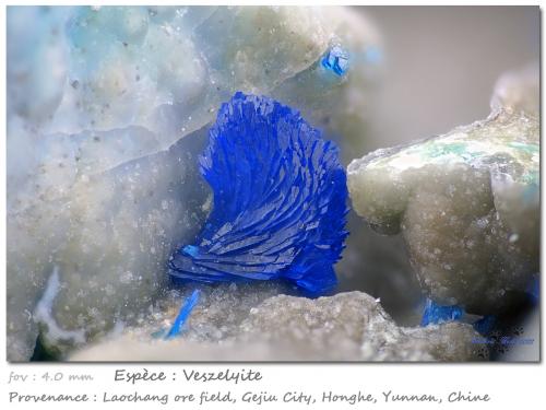 Veszelyite<br />Laochang ore field, Gejiu, Honghe Prefecture, Yunnan, China<br />fov 4.0 mm<br /> (Author: ploum)