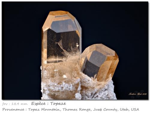 Topaz<br />Topaz Mountain, Thomas Range, Juab County, Utah, USA<br />fov 18.4 mm<br /> (Author: ploum)