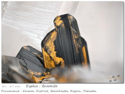 Brookite<br />Kharan District, Balochistan (Baluchistan), Pakistan<br />fov 6.7 mm<br /> (Author: ploum)