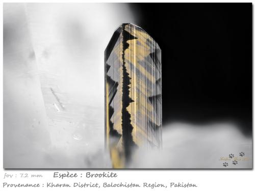 Brookite<br />Distrito Kharan, Balochistan (Baluchistan), Paquistán<br />fov 7.2 mm<br /> (Author: ploum)