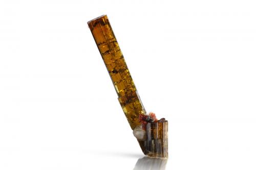Vesuvianite with Grossular (variety hydrogrossular) and 'Apatite'<br />Banchette, Bellecombe, Châtillon, Aosta Valley (Val d'Aosta), Italy<br />4 x 2.5 x 9 cm / main crystal: 5.5 cm<br /> (Author: MIM Museum)