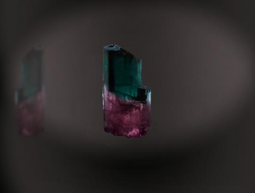 Elbaite<br />Cruzeiro Mine, Santa Maria do Suaçui, Governador Valadares, Vale do Rio Doce, Minas Gerais, Brazil<br />11 mm x 22 mm x 8 mm<br /> (Author: Firmo Espinar)