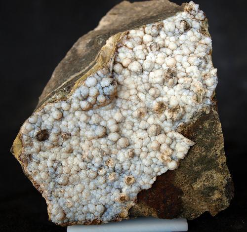 Cuarzo (variedad calcedonia)<br />Volcán Cabezo Negro de Zeneta, Murcia, Comarca Huerta de Murcia, Región de Murcia (Murcia), España<br />7 x 8.5 cm<br /> (Autor: Pedro Antonio)